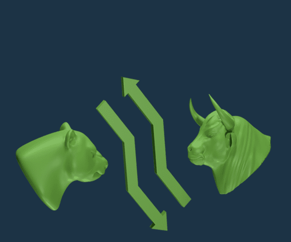 Guida ai Bull market e Bear market