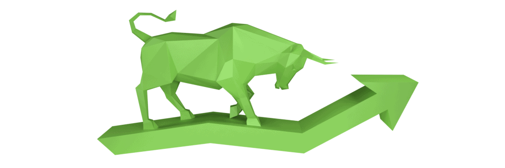 Så identifierar du en bullmarket