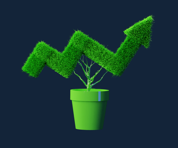 Vše potřebné vědět o hodnotovém investování